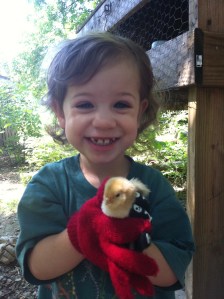 The day after surgery: showing off new teeth (the previously poorly repaired ones WERE able to be saved!) as well as a new baby chick!