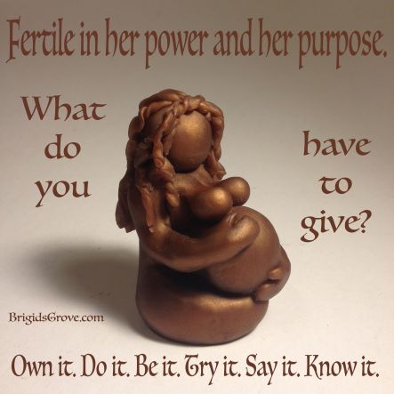 12768175_1711716759040539_6469665706064455536_o